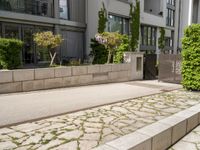 a street with plants and concrete blocks on it on a sunny day next to the building