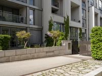 a street with plants and concrete blocks on it on a sunny day next to the building