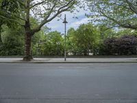 Sunny Day in Berlin: Residential Road