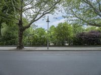 Sunny Day in Berlin: Residential Road