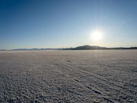 a sun shines brightly over a vast expanse on a sunny day in winter attire