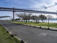 a street lined with black balls under a bridge over a body of water on a sunny day