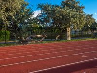 a red running track next to trees and fencing with a clock tower in the distance