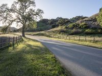 Sunny Day on California Green Grass Road 001