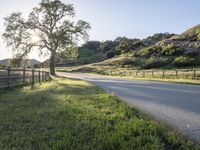 Sunny Day in California: Green Grass Road 002