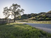 Sunny Day in California with Green Grass and Road 003