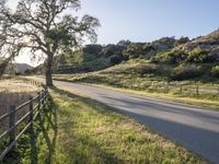 Sunny Day on California Green Grass Road 005