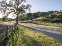 Sunny Day in California on Green Grass Road 006