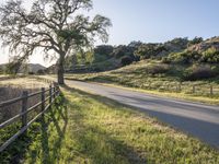 Sunny Day in California on Green Grass Road 006