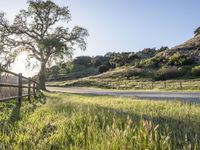 Sunny Day in California on Green Grass Road 008