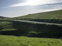 a lone cow stands on a mountain near the road and grass, looking back at the camera