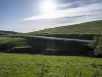 a lone cow stands on a mountain near the road and grass, looking back at the camera