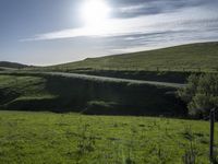 a lone cow stands on a mountain near the road and grass, looking back at the camera