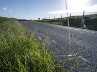 A Sunny Day in California: A Picturesque Rural Landscape