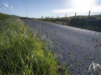 A Sunny Day in California: A Picturesque Rural Landscape