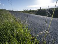 A Sunny Day in California: A Picturesque Rural Landscape