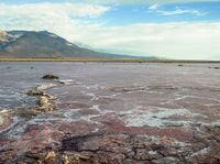 an open plain with mountains in the distance and a lake running through the middle of it