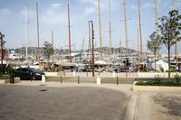an area with sail boats that are docked on water near a city park area area