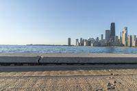 Sunny Day in Chicago: City and Beach