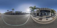 a street view from a fish eye lens with a blue sky and palm trees in the background