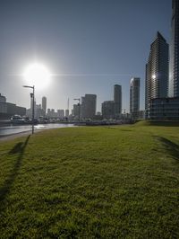 an empty grass field that is next to the water with many skyscrapers in the background