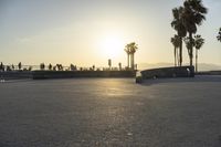 people are skateboarding on the open street with palm trees behind them in the sunset