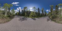 the panoramic view shows a road leading through the woods and into the sky