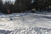 a stop sign covered in snow next to a road with trees in the background and one half a street sign that says no passing