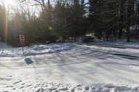 a stop sign covered in snow next to a road with trees in the background and one half a street sign that says no passing