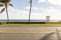 Sunny Day on Florida Coastal Road with Palm Trees - 001