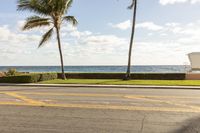 Sunny Day on Florida Coastal Road with Palm Trees 002