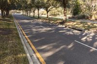 Sunny Day on Florida Road with Lush Green Trees