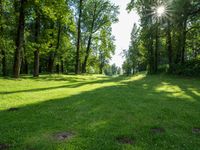 Sunny Day in Green Park Open Space 002