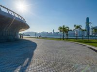 a walkway with an arch and palm trees along it on a sunny day near the water