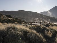 Sunny Day in Spain: A Curve in the Road