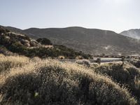 Sunny Day in Spain: A Curve in the Road