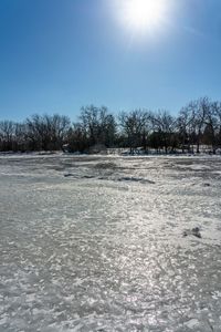 an area with a snow covered field and bare trees in the background at sun,