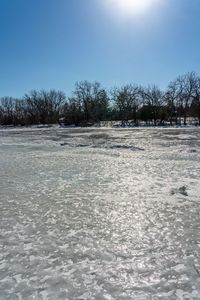 an area with a snow covered field and bare trees in the background at sun,