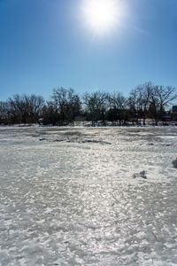 an area with a snow covered field and bare trees in the background at sun,