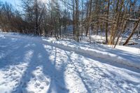 a person snowboardes along a snowy path in a wooded area of trees and snow