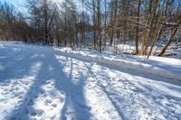 a person snowboardes along a snowy path in a wooded area of trees and snow