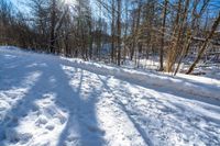 a person snowboardes along a snowy path in a wooded area of trees and snow