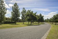 Sunny Day in Wairarapa, New Zealand