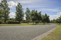 Sunny Day in Wairarapa, New Zealand