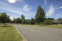 Sunny Day in Wairarapa, New Zealand