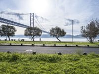 an over head view of the bay bridge and cars going on a road by the grass