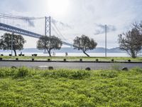 an over head view of the bay bridge and cars going on a road by the grass