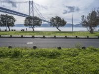 an outdoor area overlooking the water and bridge with benches in it and a path between the grass