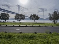 an outdoor area overlooking the water and bridge with benches in it and a path between the grass