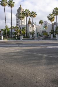 the city street is empty of cars and palm trees and buildings in background it has some traffic light